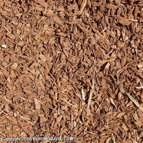 Boring bark - BORING BARK PRICES. PORTLAND BARK PRICES – There is no additional delivery charges in the SE and NE Portland, Happy Valley, Gresham, Gladstone and Milwaukie area. There is an additional delivery charge of $30.00 to North Portland (97217 zip code) and $40.00 to St. Johns or 97203 zip code. We are currently not delivering to Lake …